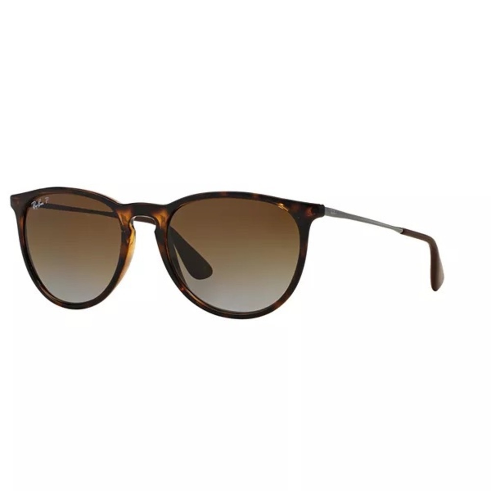 Ray Ban Erika Classic sunglasses
